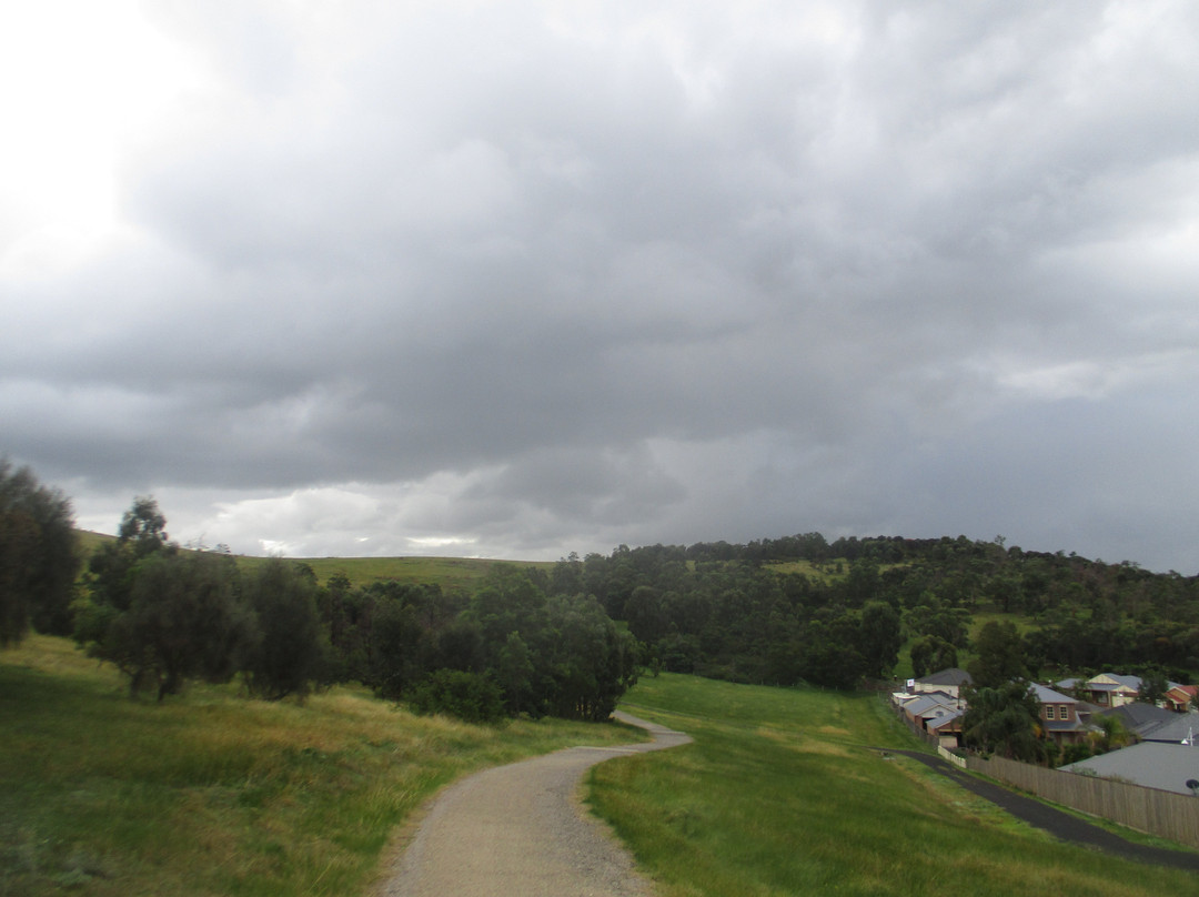 Quarry Hills Bushland Park景点图片