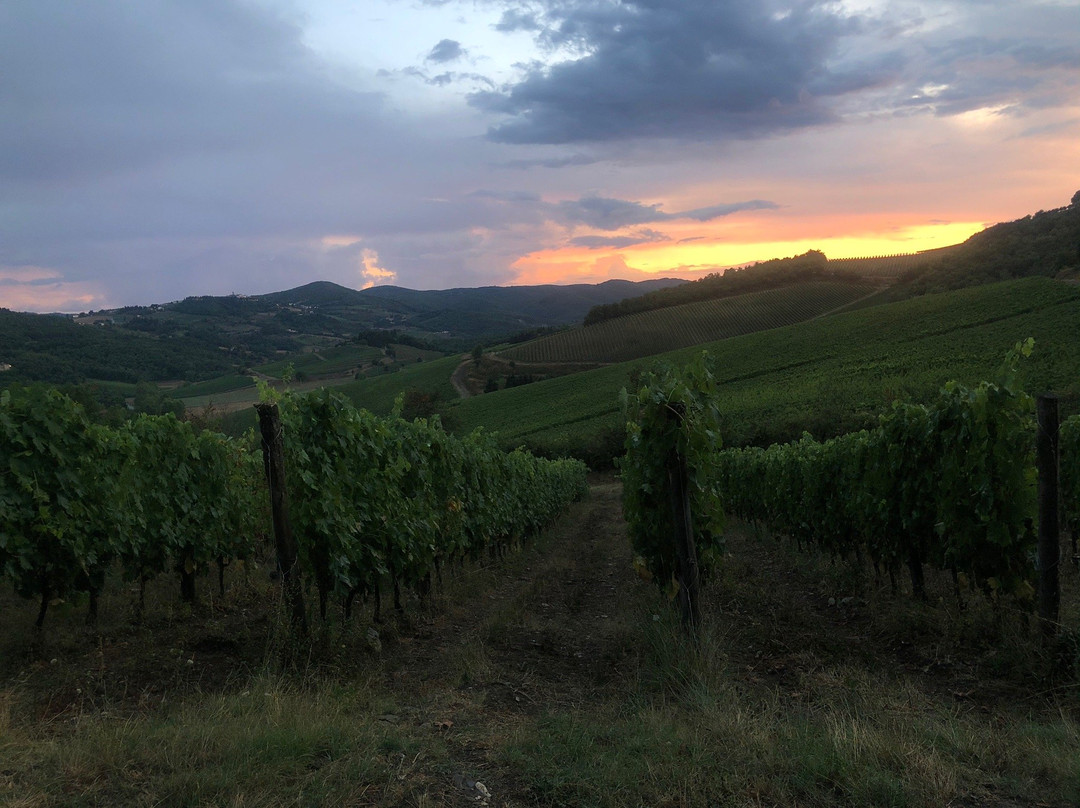 Fattoria Poggerino主图