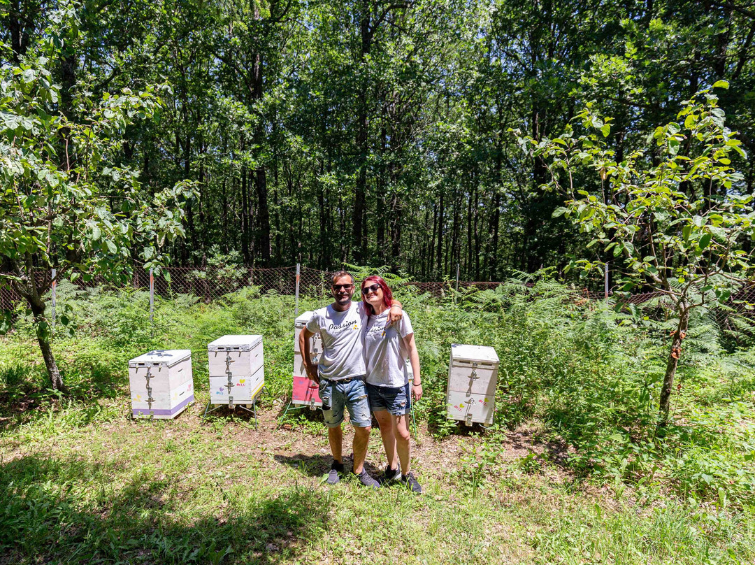 Bee Day with Passion Honey-Taxiarchis必去景点