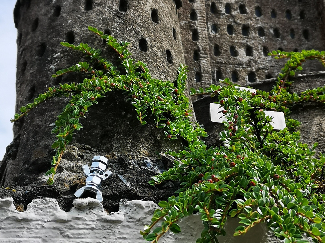 Yarm Castle-Yarm必去景点