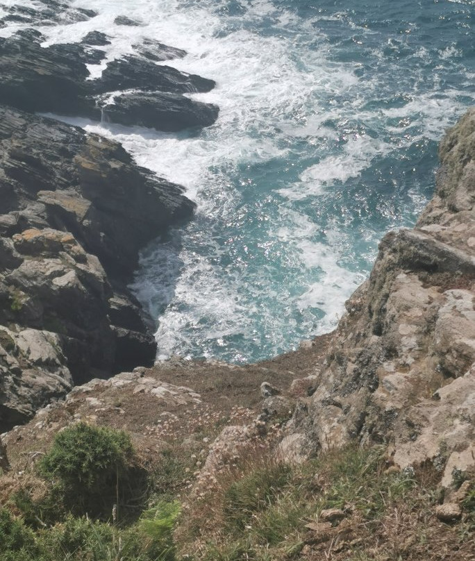 East Portlemouth & Gara Rock Trail景点图片