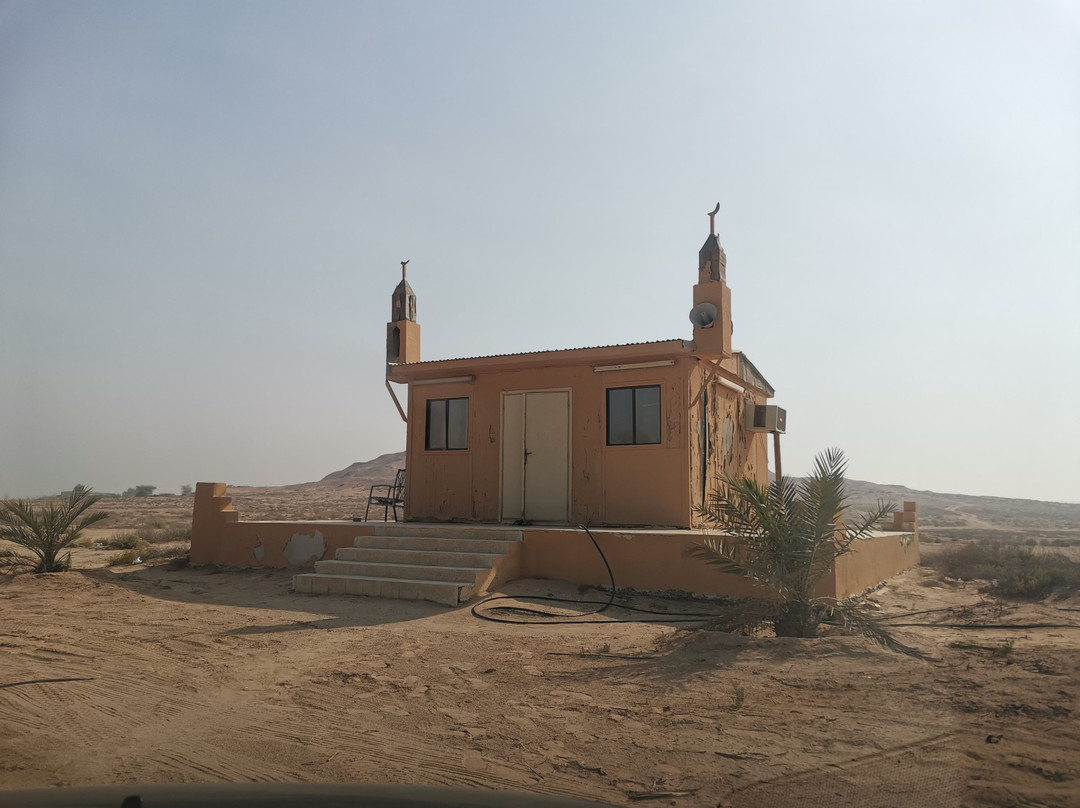 Shuweihat Island-Ruwais必去景点