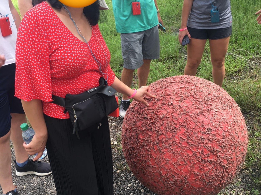 Big Cat Rescue-坦帕必去景点