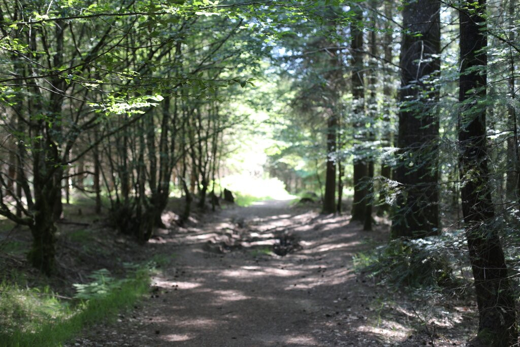 Confluence de la Cure et du Caillot-Gouloux必去景点