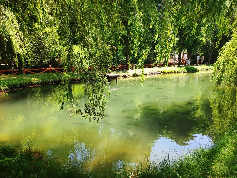 Crimea Nature Preserve-阿卢什塔必去景点