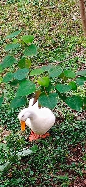 Blue Summit Cottages主图