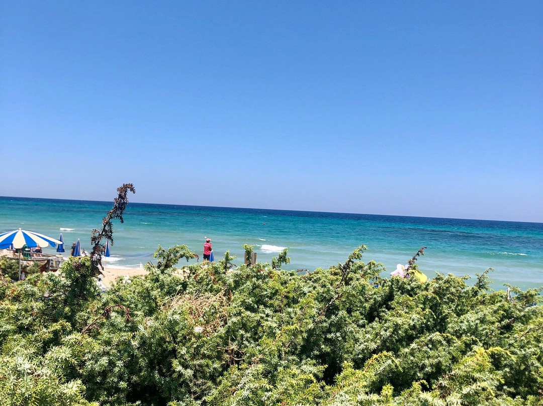 Viar Beach Club主图