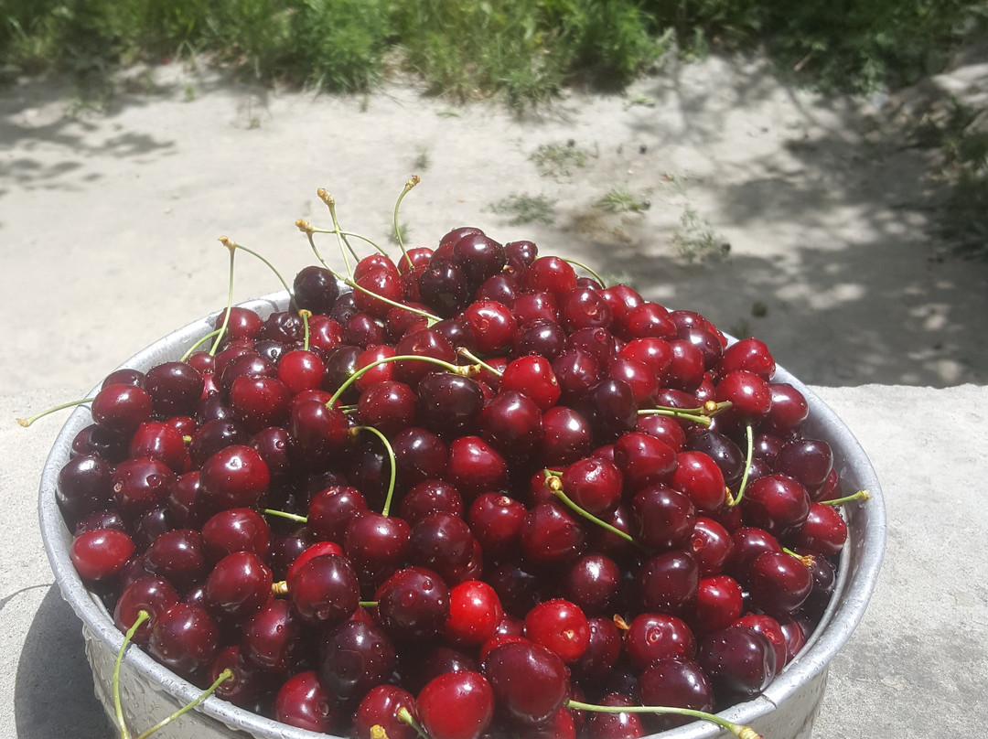 Karakoram Highway-Gilgit必去景点