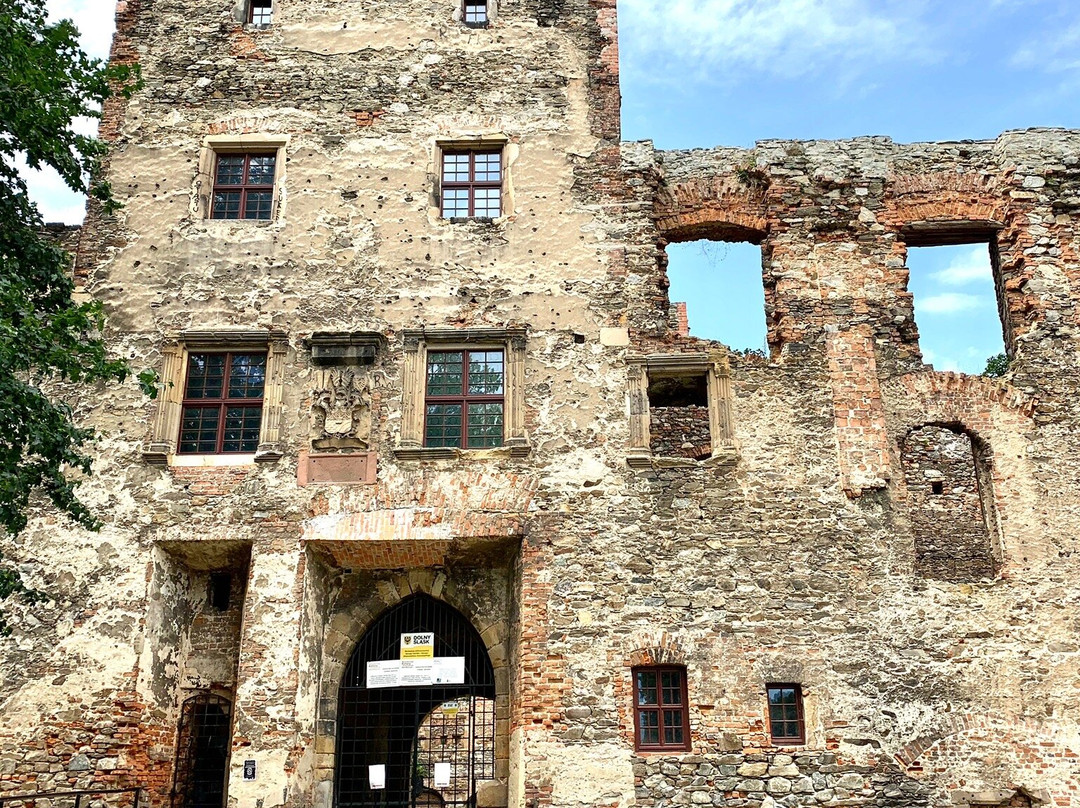 Ruins of Ducal Castle in Zabkowice Slaskie景点图片