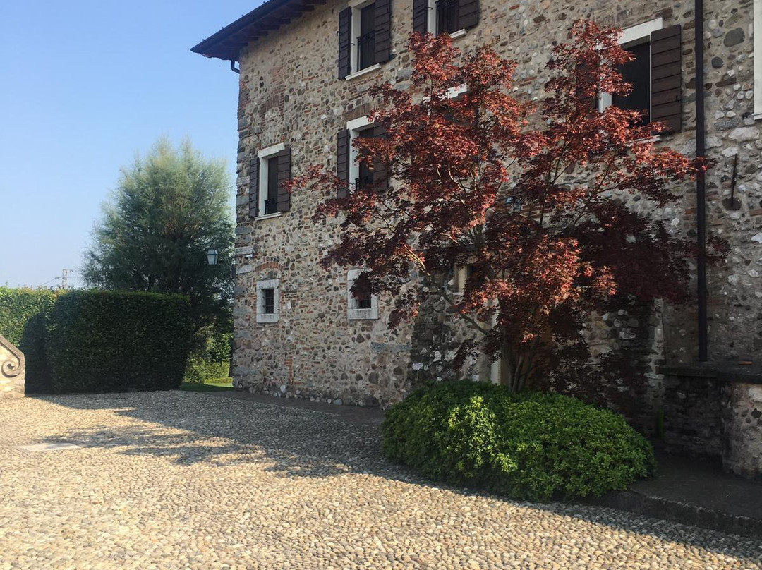 Agriturismo Macesina主图
