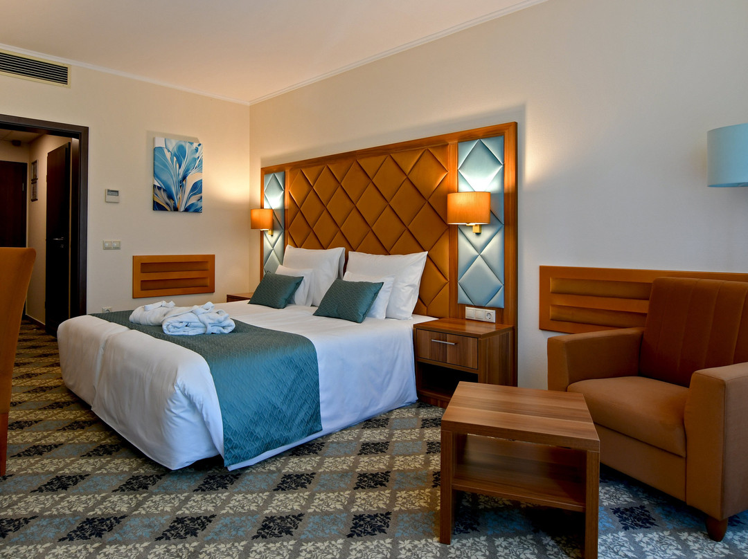 Wellness Hotel Gyula主图