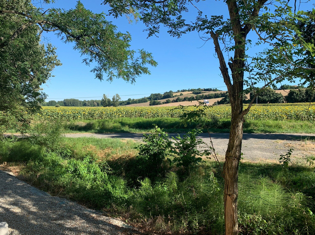 Deyme旅游攻略图片