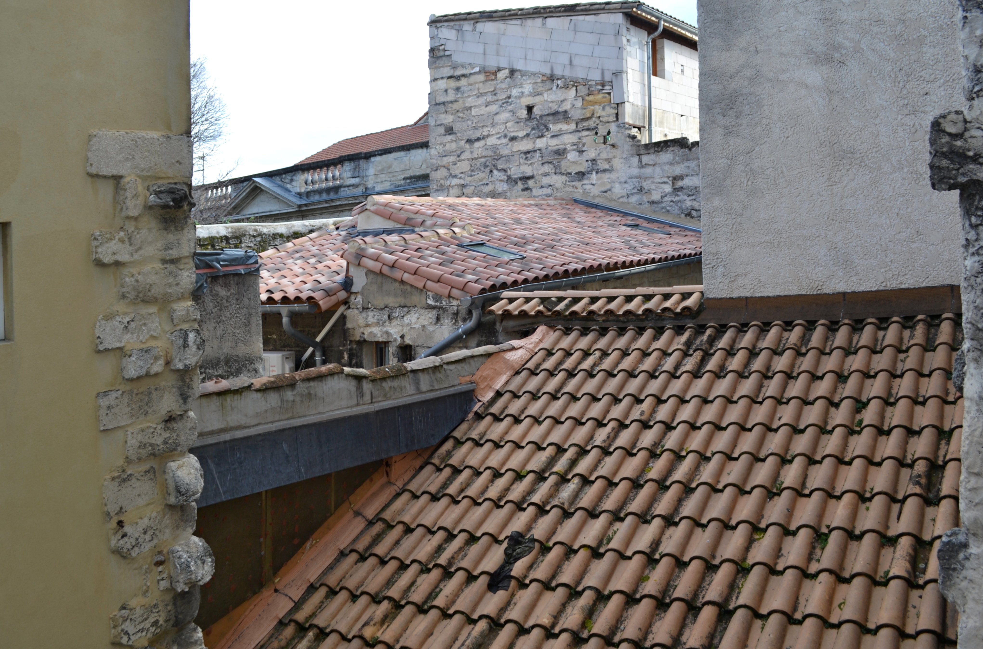 科利雅得阿维尼翁万国宫大殿酒店-酒店景观