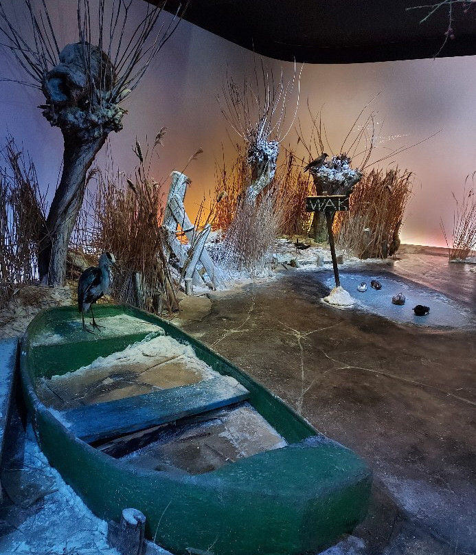 Natuurmuseum Fryslan-吕伐登必去景点