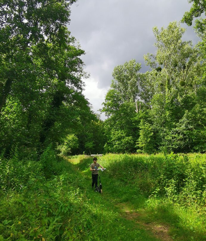 Forêt de Compiègne-贡比涅必去景点
