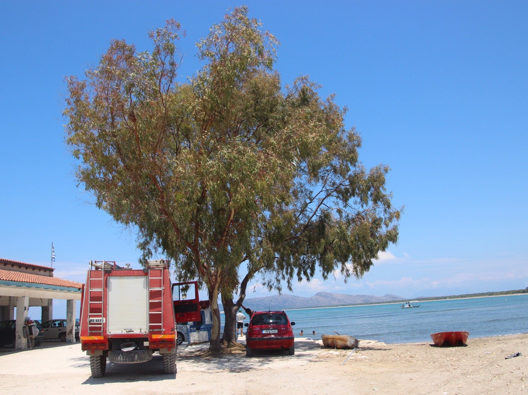 Viotopos Dasous Strofilias-Kalogria必去景点