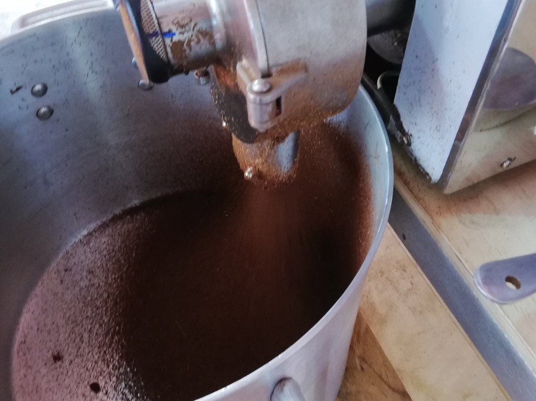 Selva Sur Coffee-Pucara必去景点