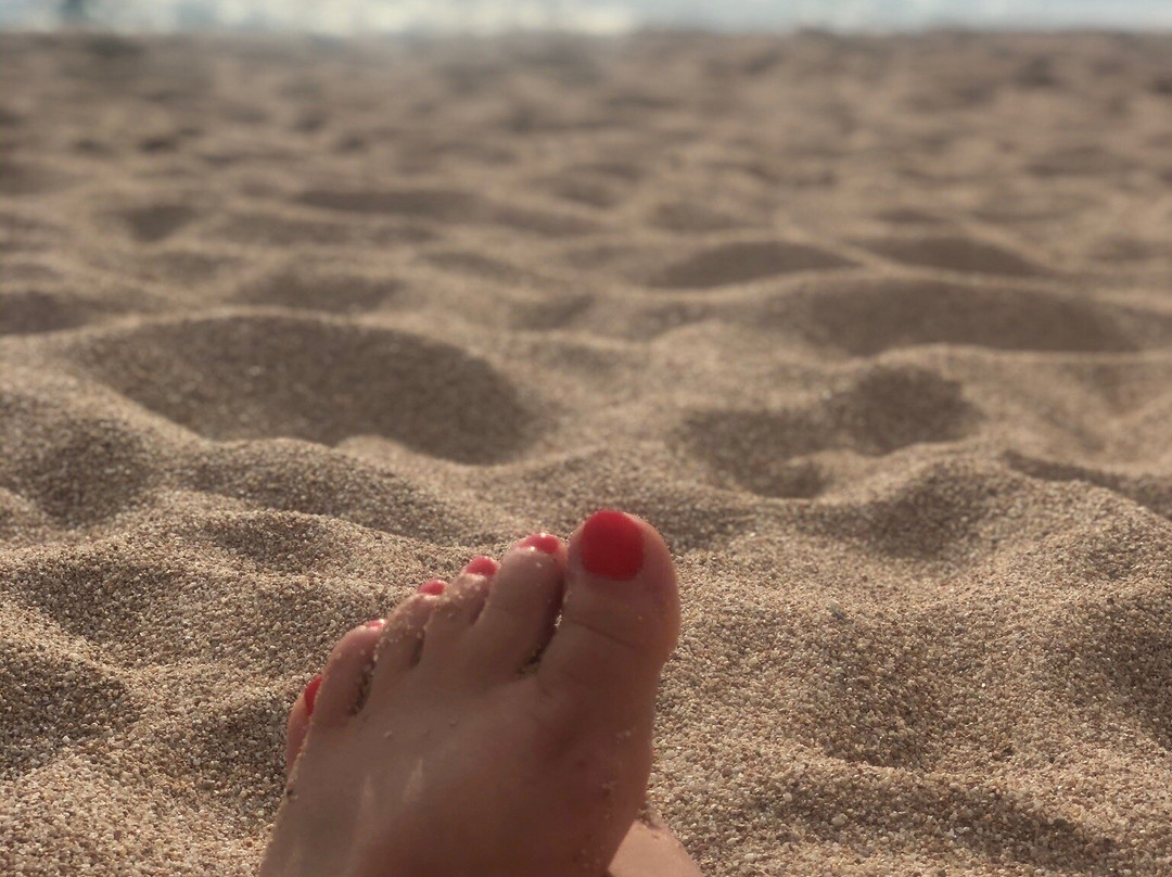 Plage de Sagone景点图片