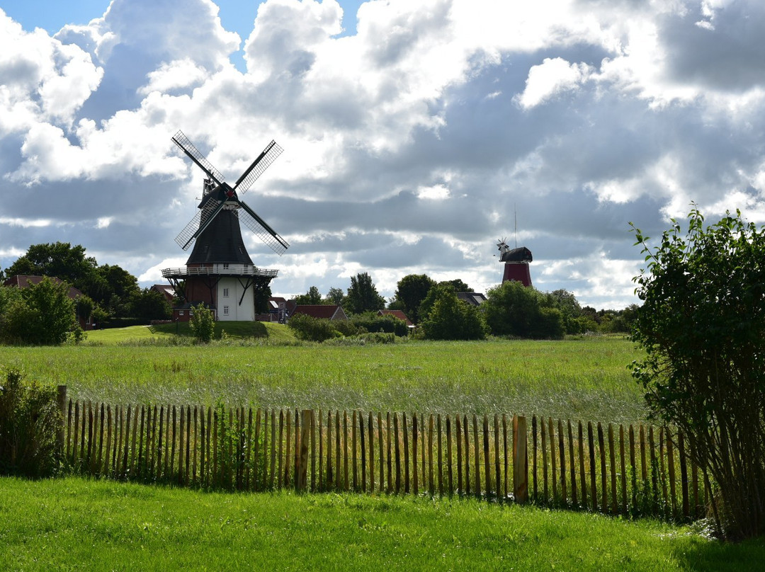 Greetsieler Zwillingsmuhlen-Greetsiel必去景点