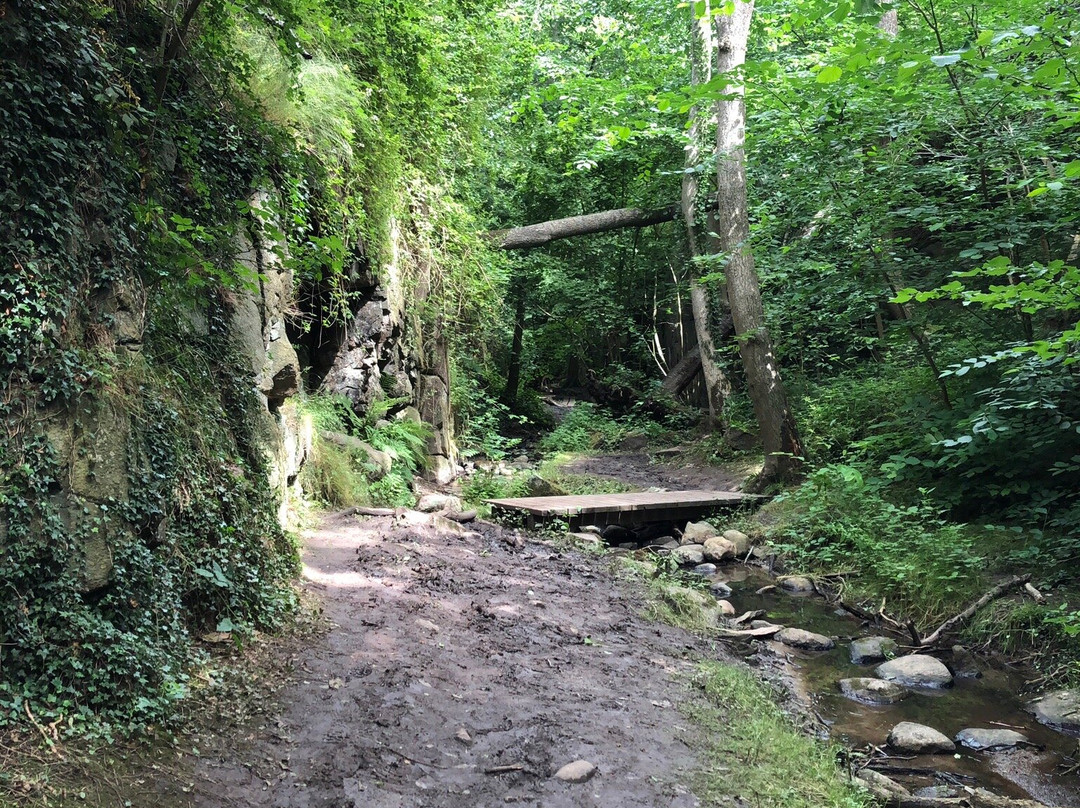 Svartingedalen-Rutsker必去景点