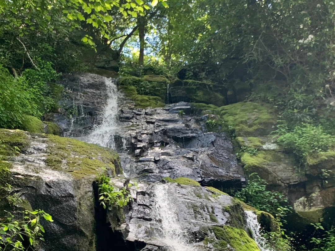 Hen Wallow Water Falls-大雾山国家公园必去景点