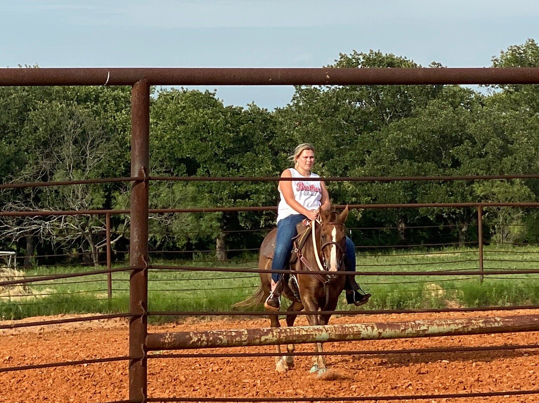 Wright Direction Horsemanship-Alvord必去景点