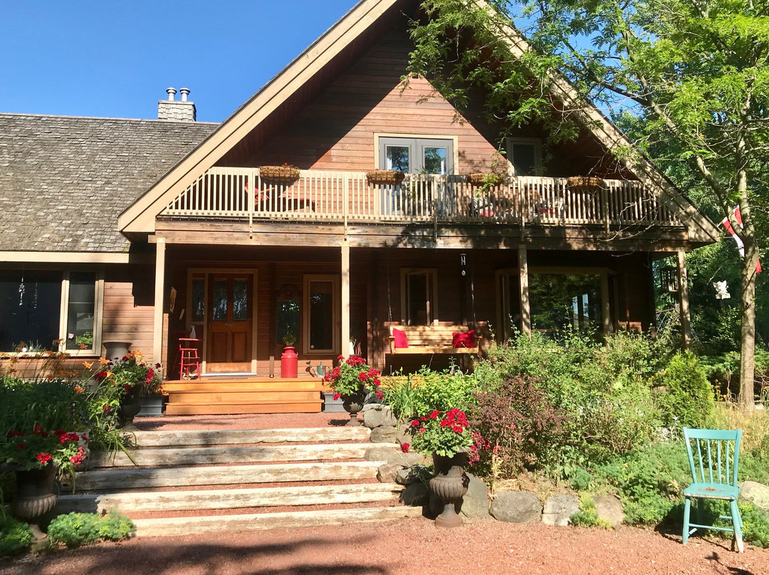 Runaway Rooster主图