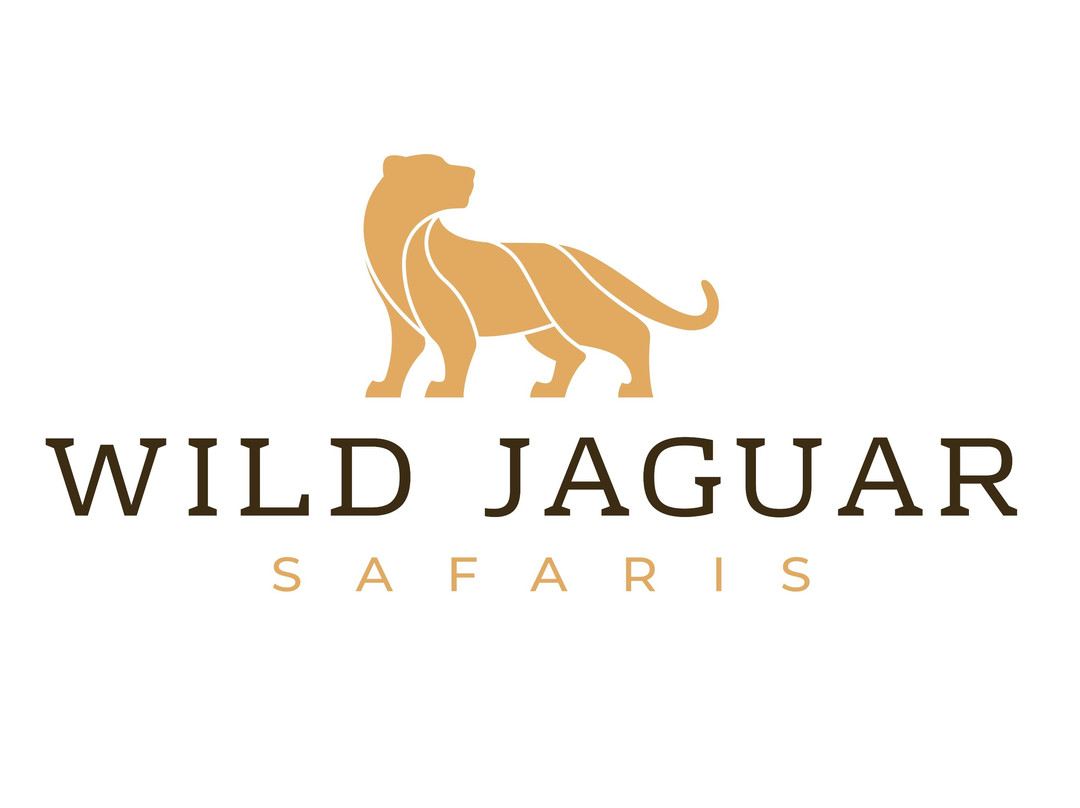 Wild Jaguar Safaris景点图片