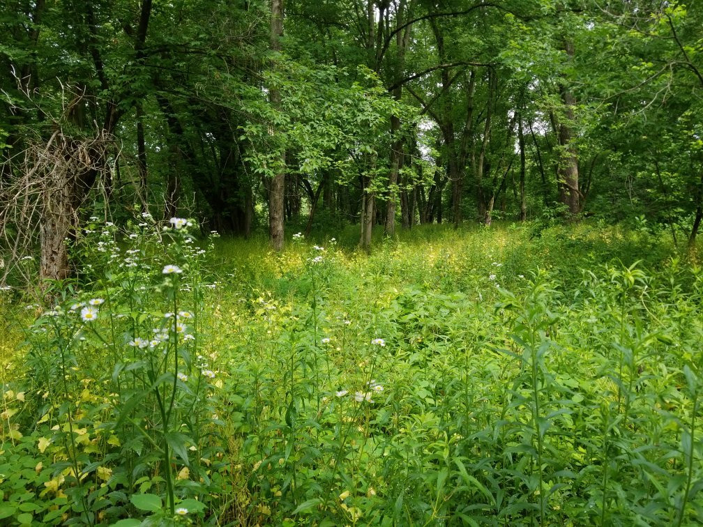 Housatonic Flats景点图片