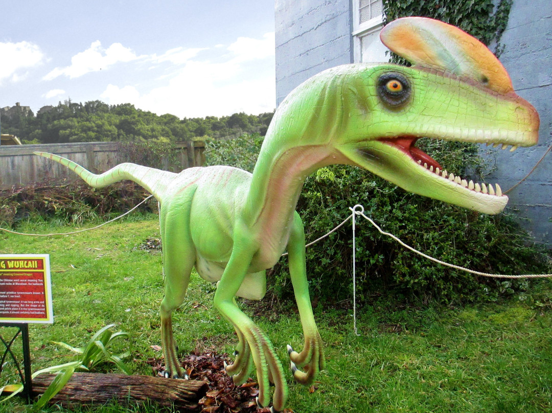 Dinosaur House-Raetihi必去景点