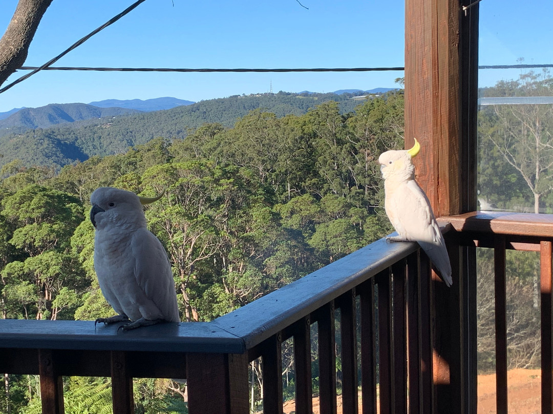 塔姆柏林山住宿加早餐酒店主图