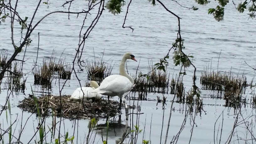 Cutler Park-尼达姆必去景点