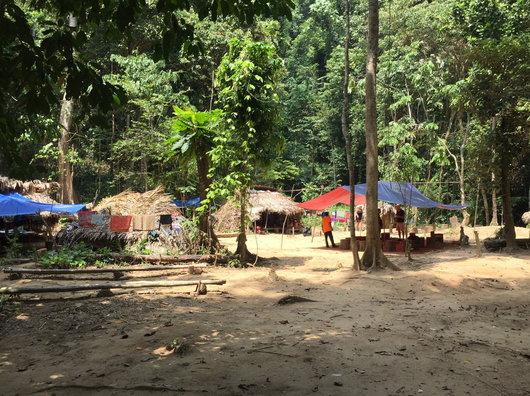 Taman Negara National Park-吉兰丹必去景点