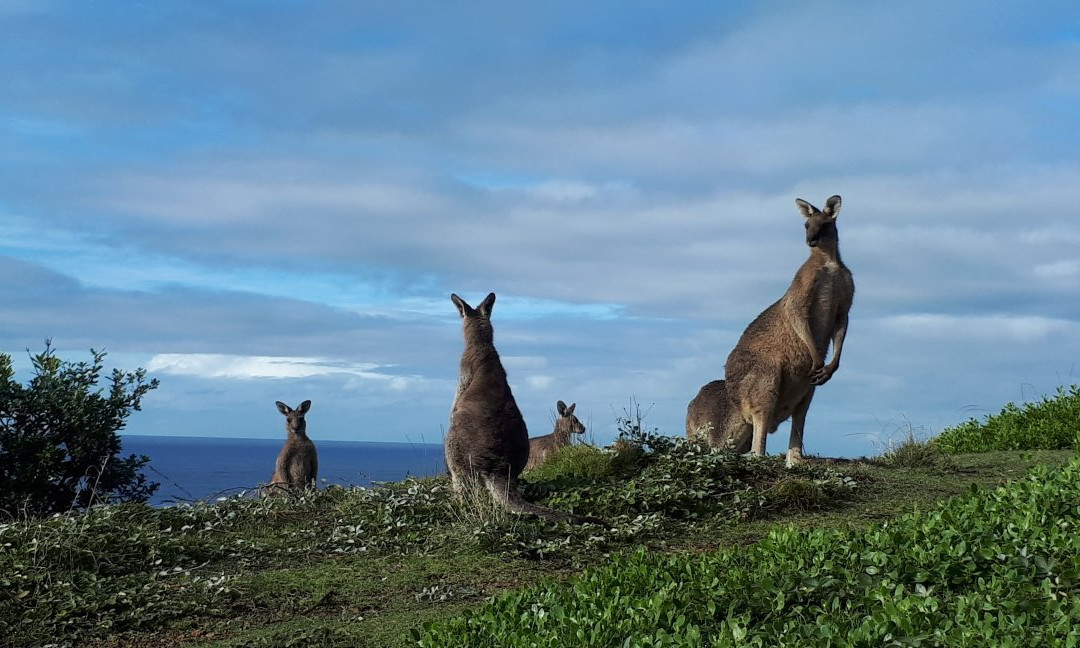 Korogoro Walking Track-Hat Head必去景点