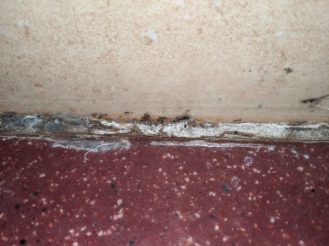 Sol y Luna Lodge主图