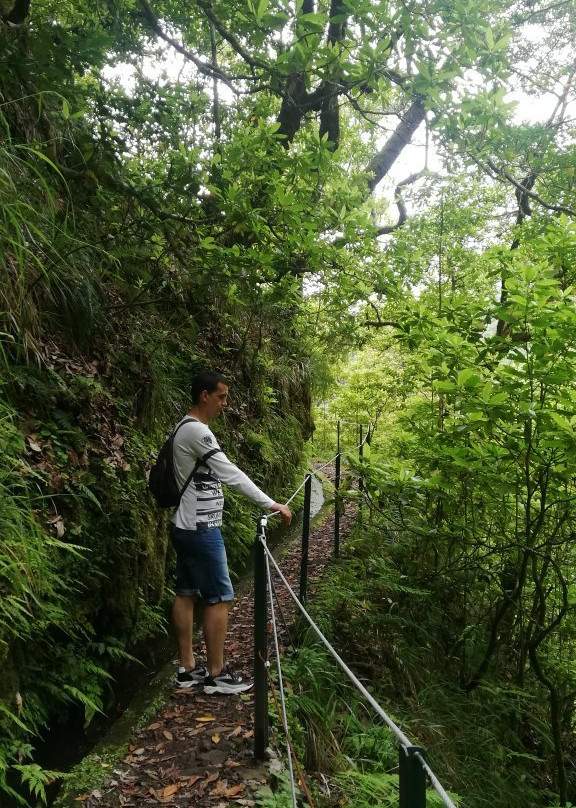 Levada dos Cedros-莫尼什港必去景点