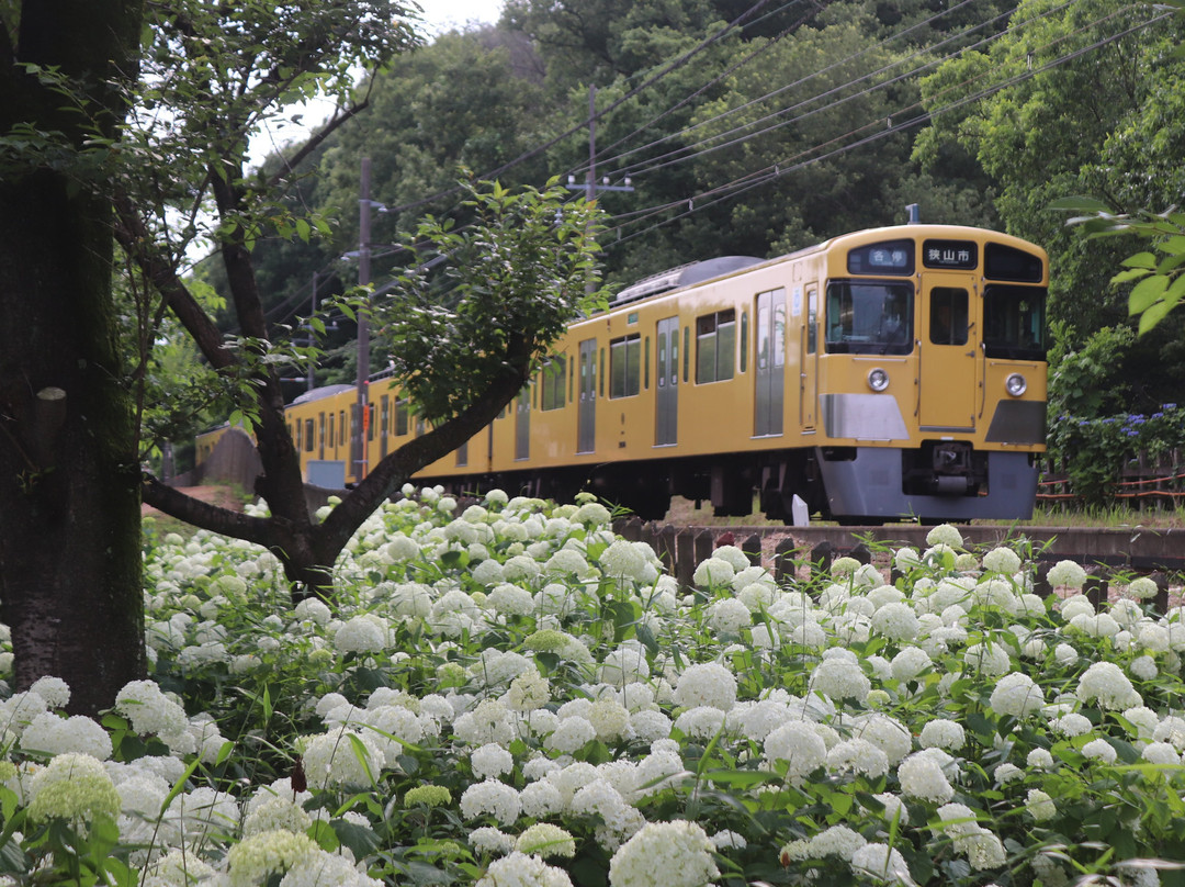 Kitayama Park-东村山市必去景点