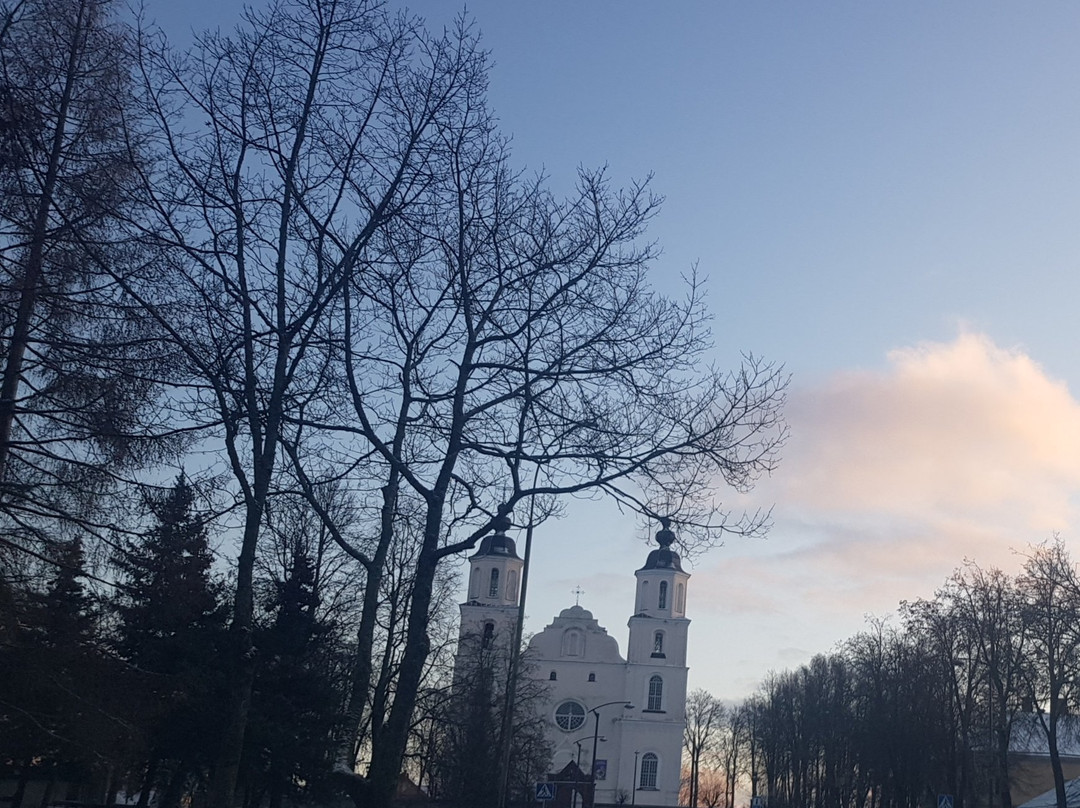 Catholic Church of the Assumption of the Blessed Virgin Mary-Zarasai必去景点