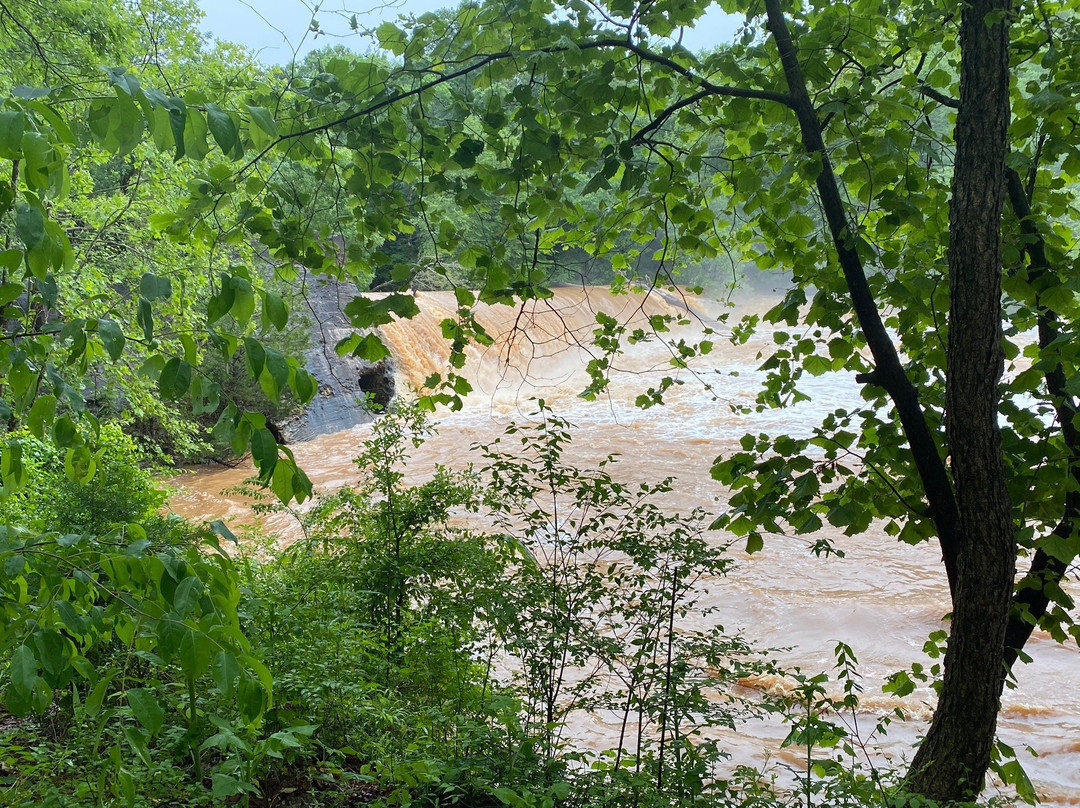 Cedar Falls Park景点图片