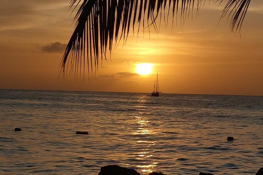 Brandon Tour's Tobago-克朗波因特必去景点