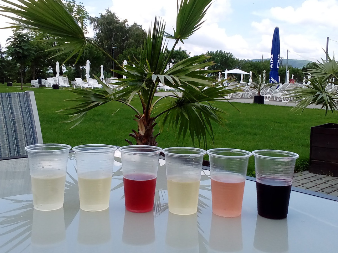 Hotel Castello & Thermal Spa Siklos主图