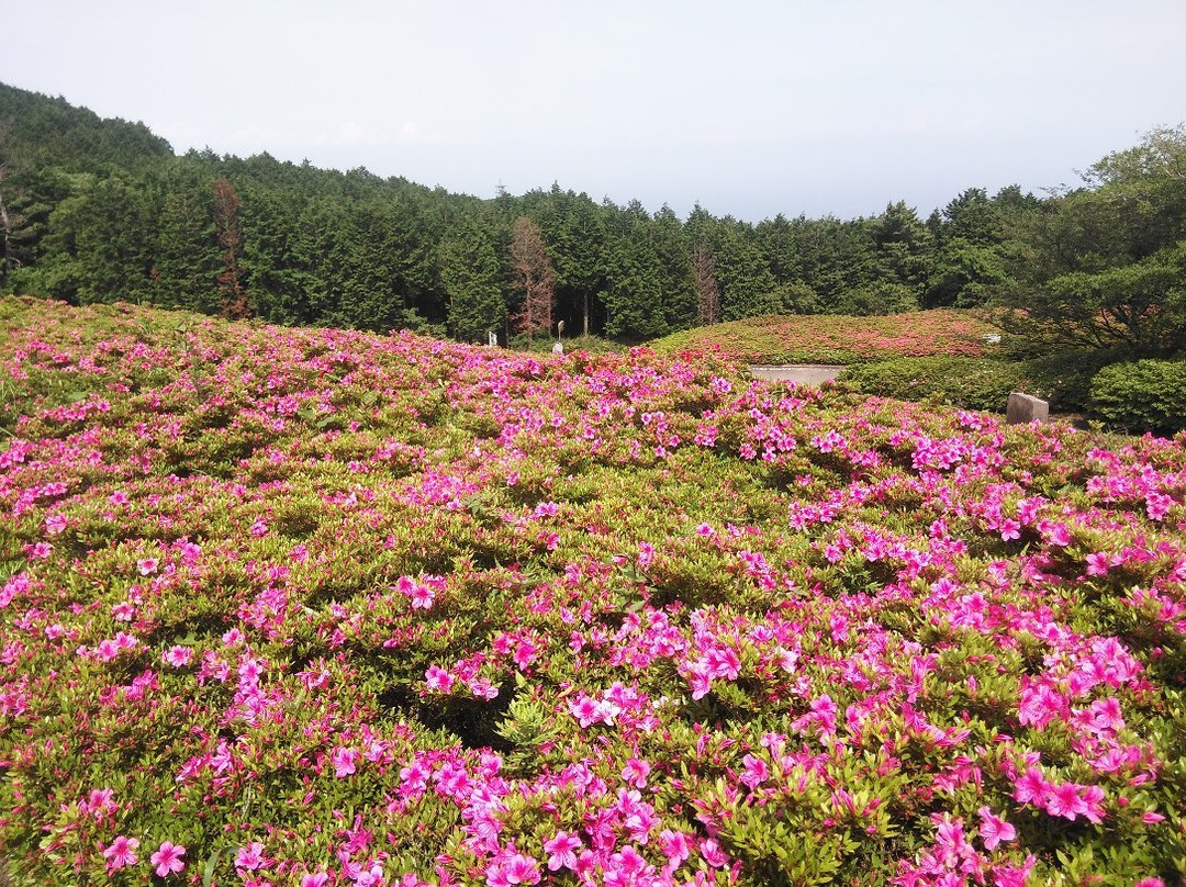 Hoshigayama Park Satsuki no sato-汤河原町必去景点