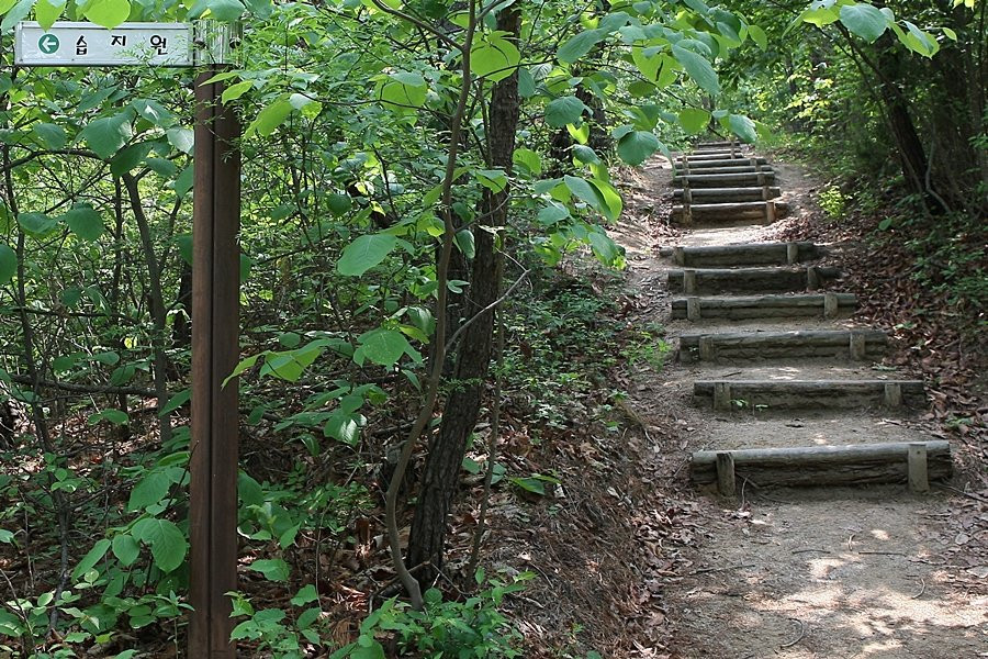 Hwanghaksan Arboretum-骊州郡必去景点