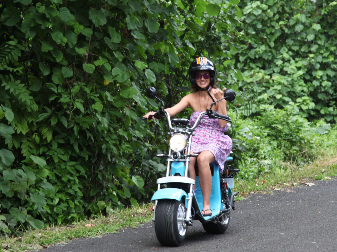 Electric Motors Moorea-莫雷阿岛必去景点