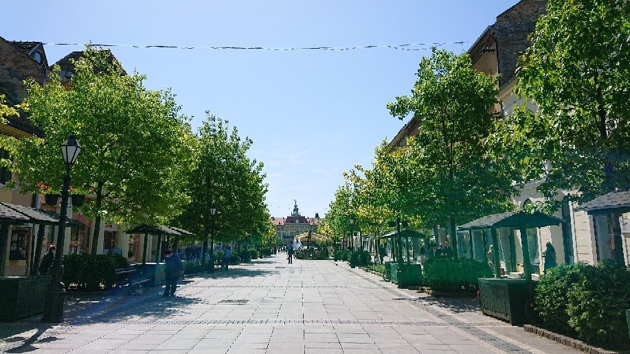 Main Street (Glavnjak)景点图片