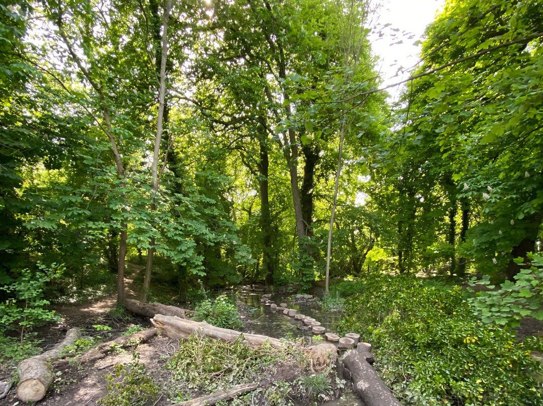Barton Springs景点图片