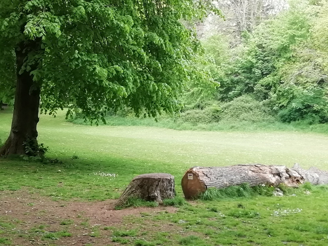 Ashcombe Park-滨海韦斯顿必去景点