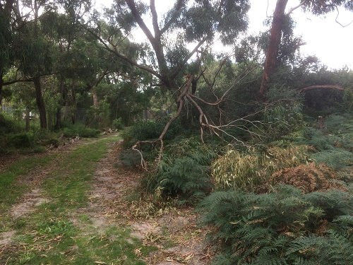 Bay Road Heathland Sanctuary-Sandringham必去景点