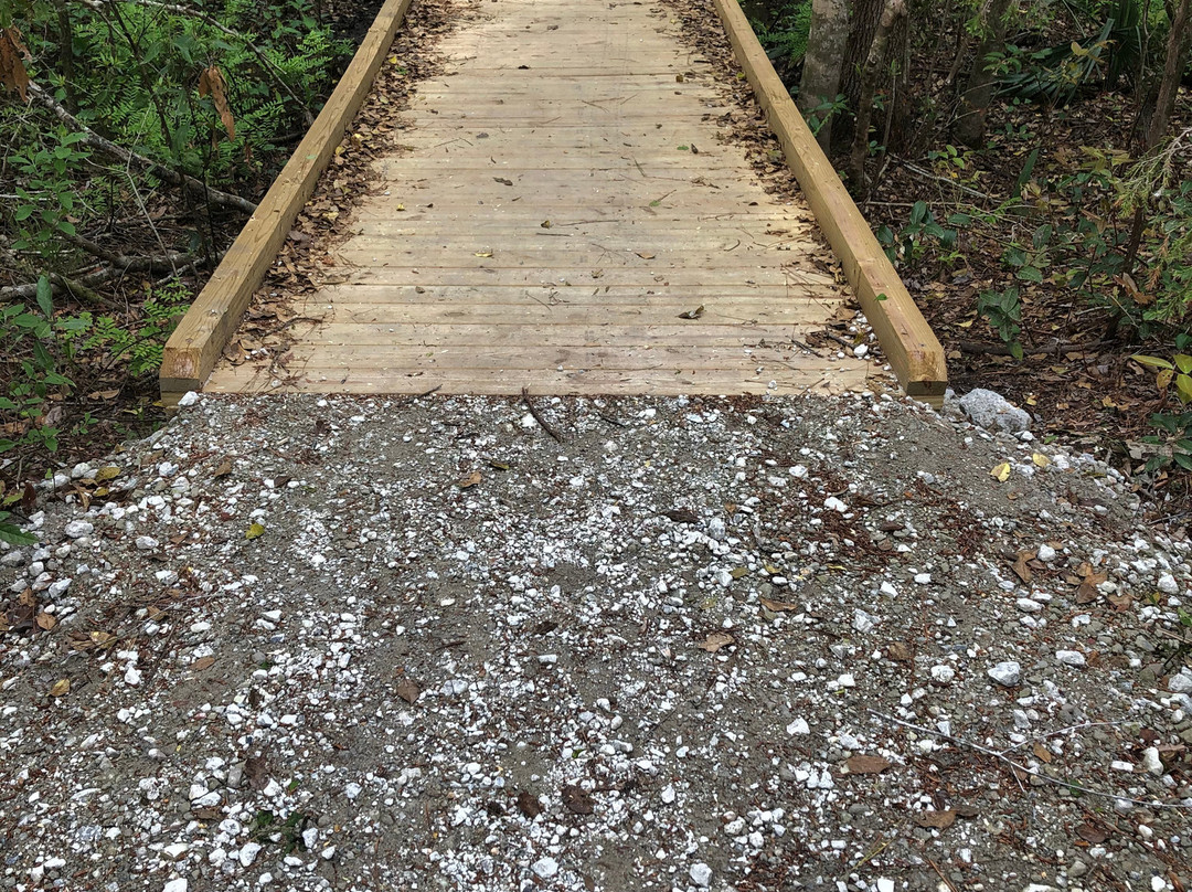 Latham Whitehurst Nature Park-新伯尔尼必去景点