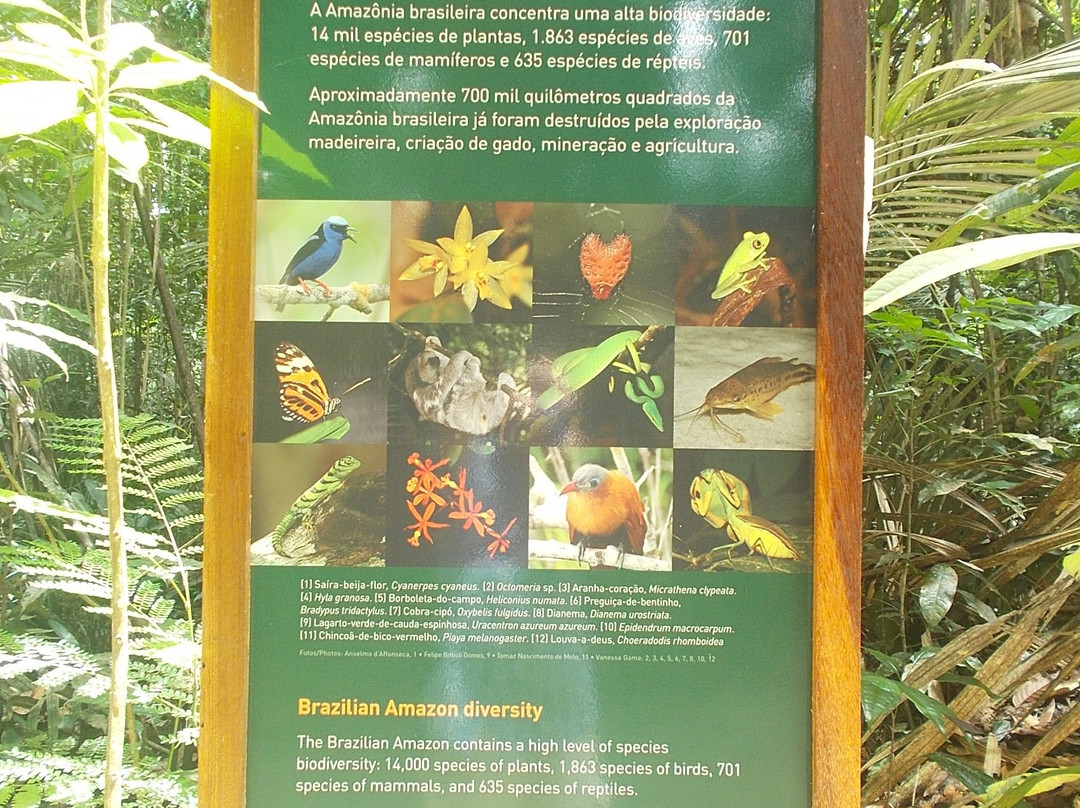 Museu da Amazonia (MUSA)-玛瑙斯必去景点